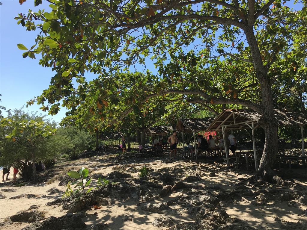 宿务旅游之跳岛island hopping，菲同凡想系列之二十二