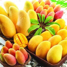 菲律宾国家象征和风俗民情