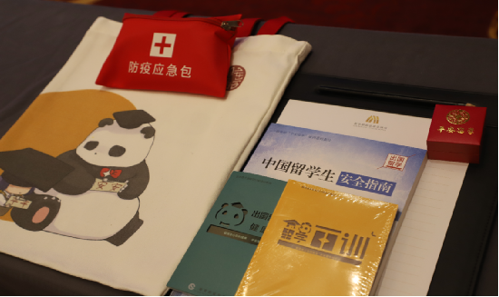 2020年教育部“平安留学”工作总结培训会成功举办